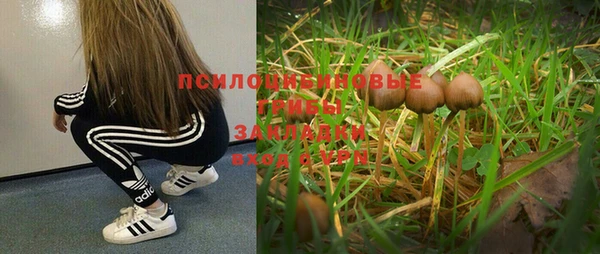 гашик Баксан