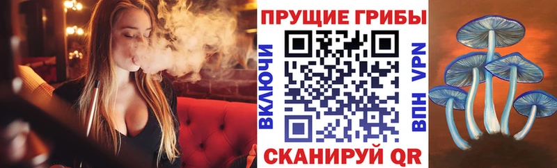 Галлюциногенные грибы GOLDEN TEACHER  Бузулук 